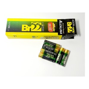 Pilha alcalina aa pequena cx c/24pçs extra power1.5V tlr6 br55